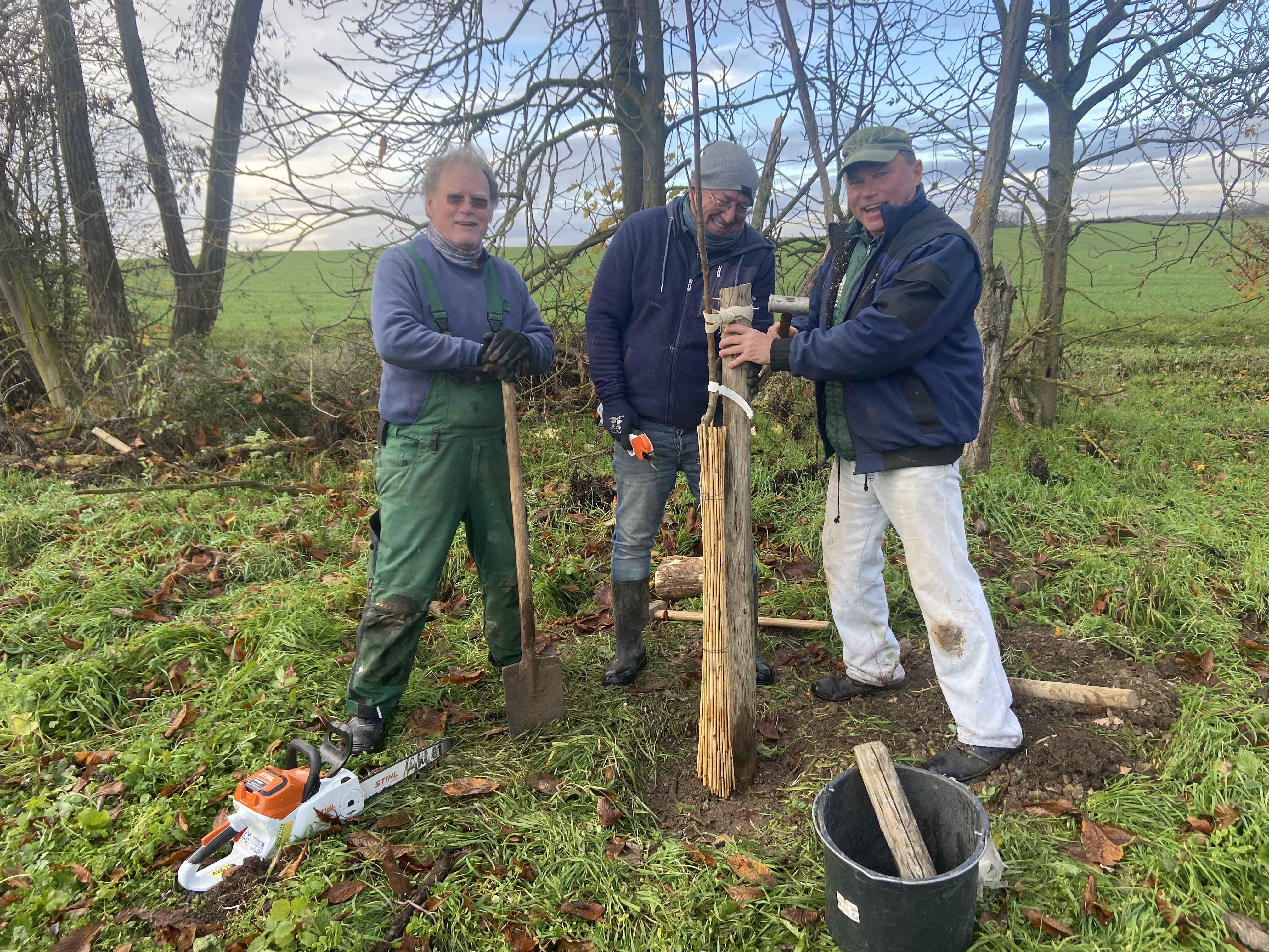 Helmut Werthmann, Bernd Pfeuffer und Rainer Zufrass bei der Pflanzung neuer Bäume am Hohlweg Richtung Theilheim