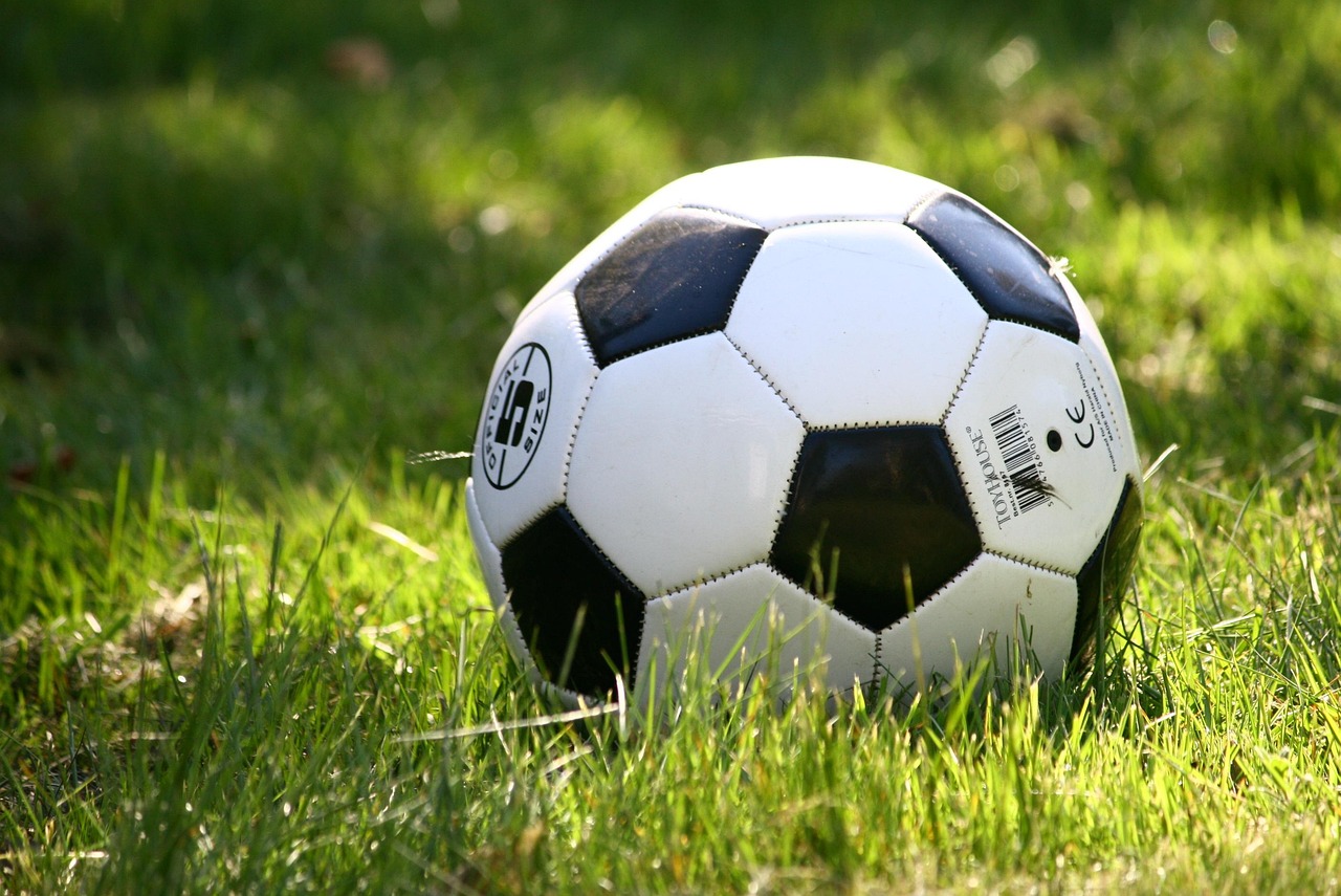 Fußball auf Wiese