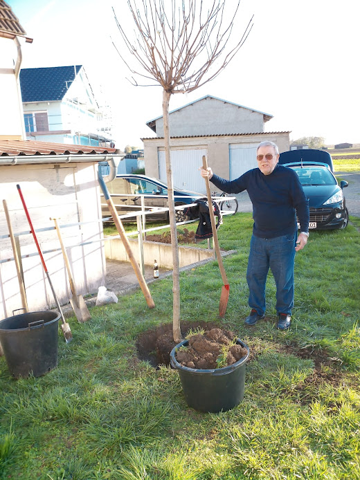 Vorstand Karl-Heinz Rummel mit dem neu gepflanzten Baum