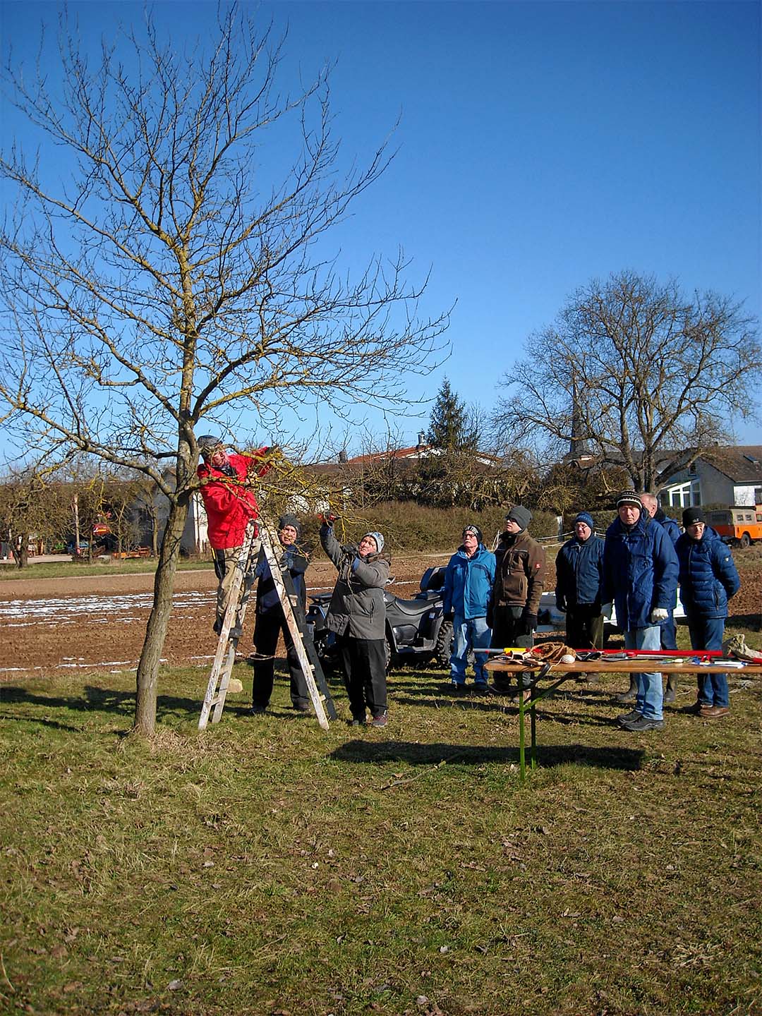 Teilnehmer beim Winterbaumschnittkurs