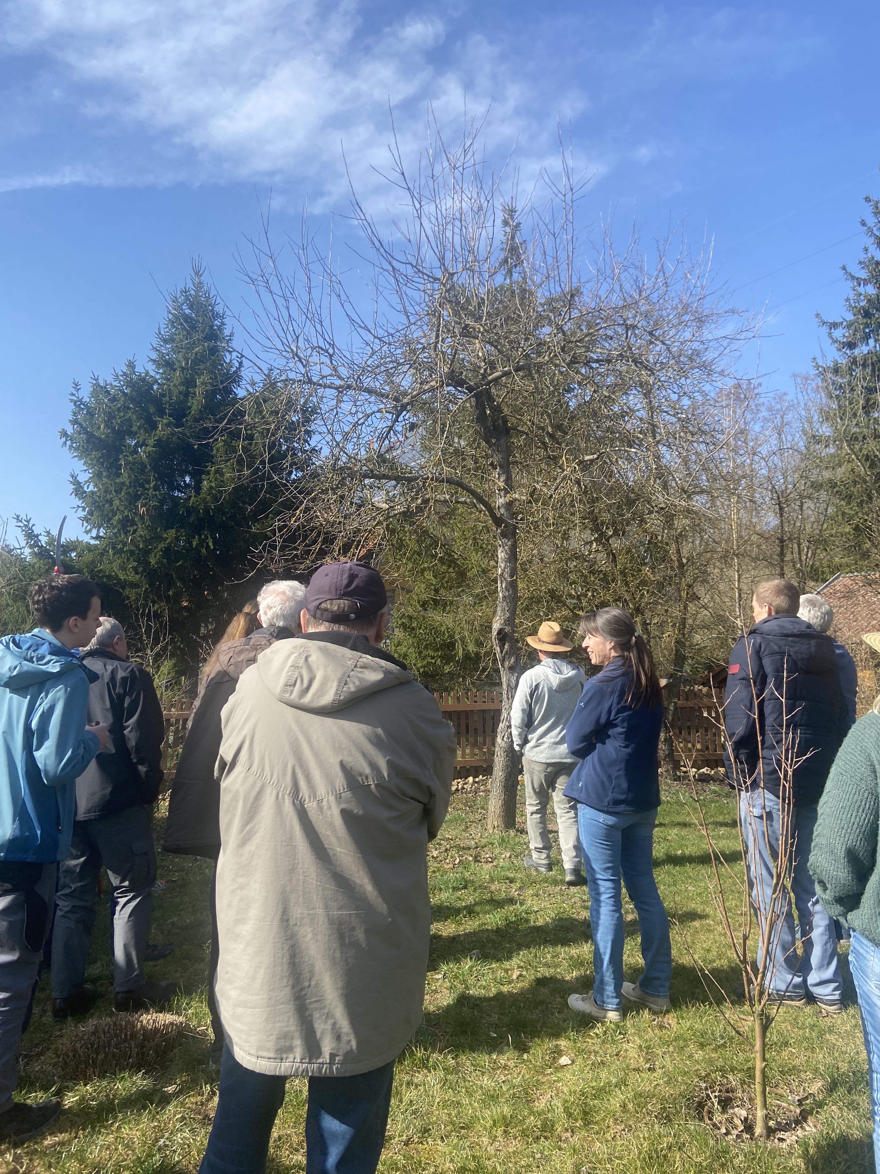 Teilnehmer beim Baumschnittkurs in Waigolshausen